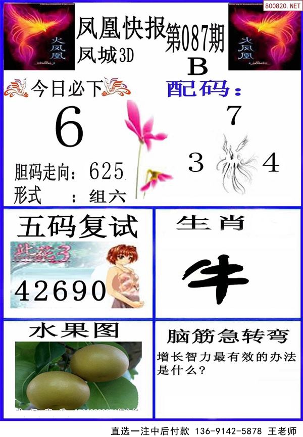 087ڷ˿챨 ۲ʱ 