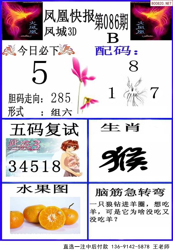 086ڷ˿챨 ۲ʱ 