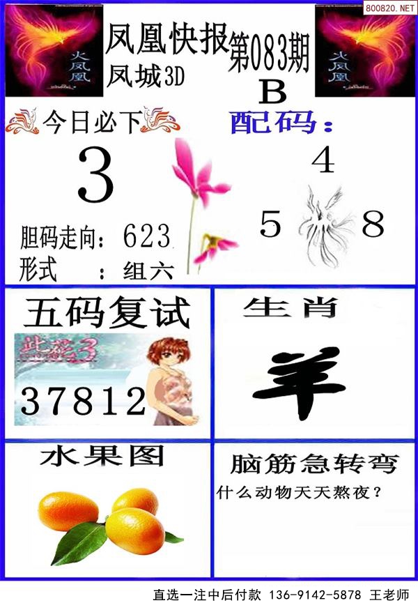 083ڷ˿챨+۲ʱ 