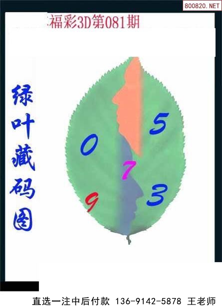081ͼ