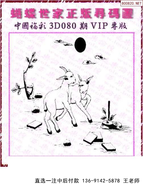 080ںͼ