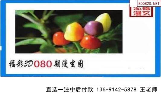 080˸ͼ 